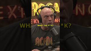 You Can Have a Wolf As a Pet - Joe Rogan