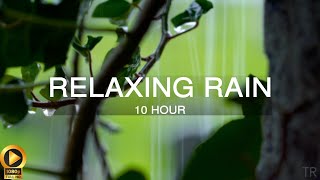 10 Hour | Rain Sounds for Sleep | Meditation | Study | Focus | Spa | Calming Background Ambience