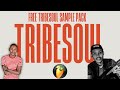(FREE) TRIBESOUL SAMPLE PACK🔥🔥