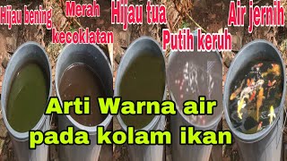 Arti Warna Air pada kolam ikan yang harus kalian ketahui