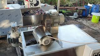 Ev tipi soğuk sıkım Zeytinyagi makinası.home type cold press olive oil machinery