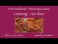 Ginseng - ren shen - Erbe medicinali, Fitoterapia cinese