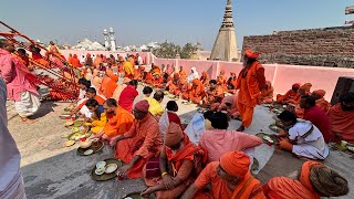 kashi annapurna temple is live