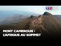 Afrique : voyage à 4000 mètres de haut, au sommet du mont Cameroun