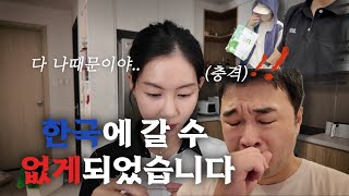 이번 설에는 한국에 못 갈 것 같습니다