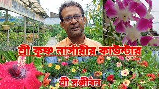 শ্রী কৃষ্ণ নার্সারির কাউন্টার||Shree Krishna Nursery counter||Shree Sanjiban||