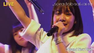 sora tob sakana 単独ライブ配信