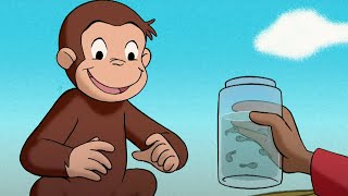 オタマジャクシの育て方 🐵 おさるのジョージ