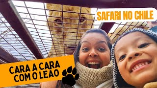 SAFARI no Chile + Vinícola Santa Rita | VLOG