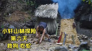 小轩山林探险第六天，救狗吃蛇