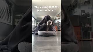 The blanket monster