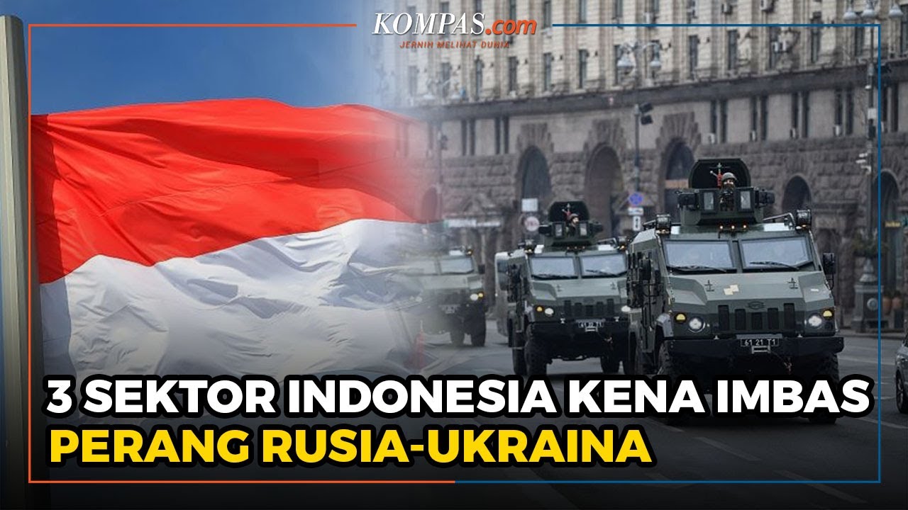 3 Dampak Perang Rusia-Ukraina Bagi Indonesia - YouTube