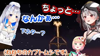 【天音かなた】と【沙花叉クロヱ】、【桃鈴ねね】のカブトムシをナニかと勘違いした模様【ホロライブ/切り抜き】