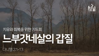 치유와 회복을 위한 밤 10시 기도회 (145) | 느부갓네살의 갑질 (다니엘 2:1-13)