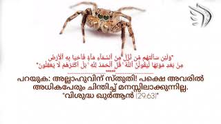 ഈ ഐഹികജീവിതം വിനോദവും കളിയുമല്ലാതെ മറ്റൊന്നുമല്ല.