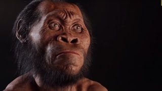 Se Descubre Nueva Especie Humana. \