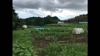 【よつまちラジオ特別編】Y・Y・NOWSONってどんなところですか？【千葉県四街道市】