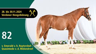 No. 82 Stallion by Emerald vh Ruytershof - Quasimodo vd Molendreef | Verden Stallion Licensing 2024