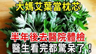 廣東大媽艾葉當枕芯，半年後去醫院體檢，醫生看完都驚呆了！退休人越早知道越好【中老年講堂】