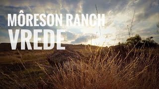 MôRESON RANCH, VREDE