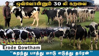 🐄30 லி கறவைக்கொண்ட 17 மாடுகள்|கறந்து பாத்துட்டே வாங்கிக்கலாம்|கருங்கல்பாளையம் சந்தை!!#காளை#சந்தை#cow