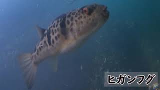 九鬼の海2021年7月10日撮影