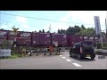 【踏切】jr成田線　電車が来ないのに鳴る踏切 railroad crossing in japan