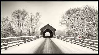 Beautiful black and white winter tv art framed red bird wallpaper no sound