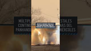 Incendios de Texas arrasan todo a su paso | Telemundo Houston