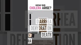 How Did Cholera Arise?!?