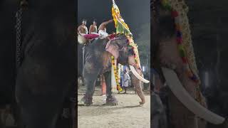 Mangalaamkunnu Ayyappan Mass entry with Puthupally sadhu \u0026Pala Kuttishankaran, Mouttathrajendran.etc