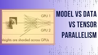 Model Parallelism vs Data Parallelism vs Tensor Parallelism | #deeplearning #llms