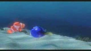 finding nemo - short term memory loss