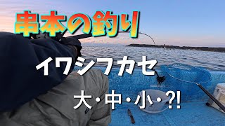 【串本の釣り】浦見湾でイワシフカセ　大・中・小⁈