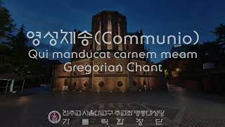 [서울대교구 주교좌 명동대성당 가톨릭합창단] 영성체송(Communio), Qui manducat carnem meam(Gregorian Chant)