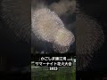 【夏祭り】花火と同時に夏が終わる…