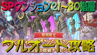 【プリコネR】期間限定ダンジョンSP攻略　フルオート　21～30階層【黒月の守護像】【白陽の守護像】