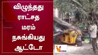 விழுந்தது ராட்சத மரம் நசுங்கியது ஆட்டோ | Madurai 100 years old tree | Auto