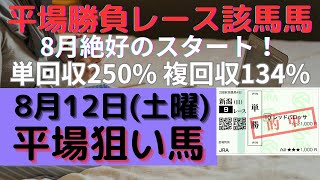 【競馬予想】８月１２日（土曜）平場勝負レース該当馬３レース！調教内容から狙える新馬戦は新潟５レースが該当！