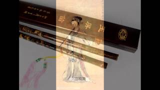 齐韶新乐04《凤舞》山东歌舞剧院•刘源 编曲