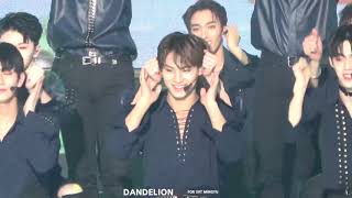 190123 가온차트 어쩌나 민규 직캠/ MINGYU FOCUS