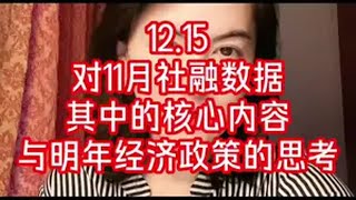 12.15  11月社融数据之后，对明年经济政策的进一步思考 11月社融数据 财政政策 内需