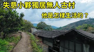 浙江大山裏不通公路的廢棄古村，竟隱居著壹位40歲的失意小夥，不結婚不打工，他是怎麽生活的？【花花樂遊記】