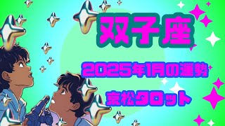 【双子座】2025年1月の運勢✨見た時がタイミング✨