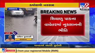 Unseasonal rainfall caused damaged to crops in Valsad district | Tv9GujaratiNews