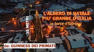 L’Albero di Natale più grande d’Italia e forse d’Europa – DA GUINNESS DEI PRIMATI