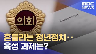 흔들리는 청년정치‥ 육성 과제는? (2023.08.03/뉴스데스크/제주MBC)