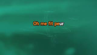 Johnny Hallyday Quelques cris Karaoke