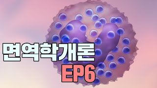 제6화 - 비만세포인듯 아닌듯 호염기구와 히스타민 | #면역학개론 | #아토피 | #호염기구 | #히스타민