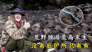 荒野獨居最新一季荒島求生，開局五天沒有搭建庇護所，每天吃海帶，還有魚肉！紀錄片